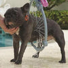 Lavage 360° pour Chiens atoupry