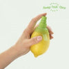 SPRAY À AGRUMES ALWAYS FRESH CITRUS atoupry